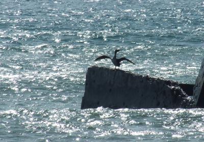 Прикрепленное изображение: bDSCF1105.jpg